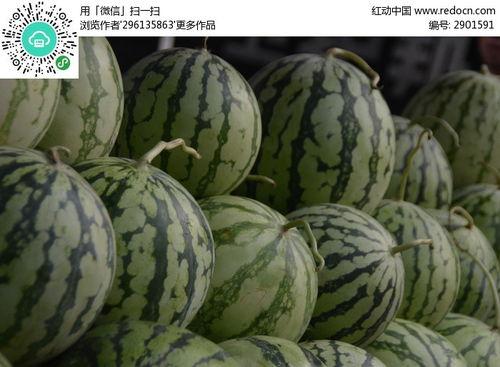 吃瓜网红照片下载大全,一网打尽热门瞬间