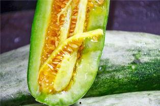 网红吃瓜网站是哪个