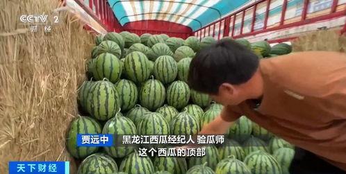 718吃瓜爆料地址,热点事件背后的真相与内幕