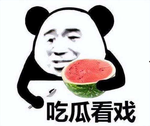 暴走吃瓜官网入口,带你畅游娱乐资讯海洋